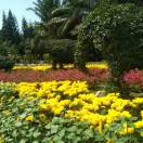 http://file-qiniu.gongji58.com/mmopen/Yg4y0AYBo1Dh2S9qkHEnx7ZslWIyMp0W1Pvzf5ITibe4SskmXRvjtHqqNm7r5ick1Lnh1MKhJaTibDsRicfY0oPAF41jiazQJyQVp/132_5b6a1c5d0f690
