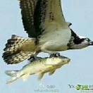 http://file-qiniu.gongji58.com/mmopen/vi_32/Q0j4TwGTfTIYTKvIXCdEsmUJ1icxiaE01QoDgjZQicpWEIGCK8dZu7aHnQcyrTEZDbtPHx6Tmqu4n5ibwuicLbukkwg/132_5c5c829d10306