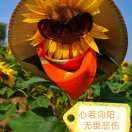 http://file-qiniu.gongji58.com/mmopen/vi_32/Q0j4TwGTfTKdonwzb0JVypojdsbvelibhBVV7emR8e6X3CNUpI7HhmRJtlH4zvsINCkXyQDO1ag6INuZAE87p6g/132_5c09774c04db4