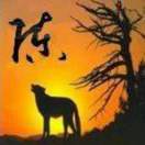 http://file-qiniu.gongji58.com/mmopen/vi_32/Q0j4TwGTfTLicZGCHibZW5u7JZ2uIrs9h0bMtTDibqOiaicbHuc9w8X1EVy12XyuyUmkkMLJutDlW4kZ6syicTVIrPOQ/132_5b844eaada7a1