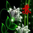 http://file-qiniu.gongji58.com/mmopen/vi_32/mKsXOlVoia6VZLAcEvzI2joRyPzK43hF9UPAnKaOsicfxZ1eoz3cdtfn4DZBNl3DFoyrCMdvDYG983DK2AKz3gJA/132_5ba543accce6f